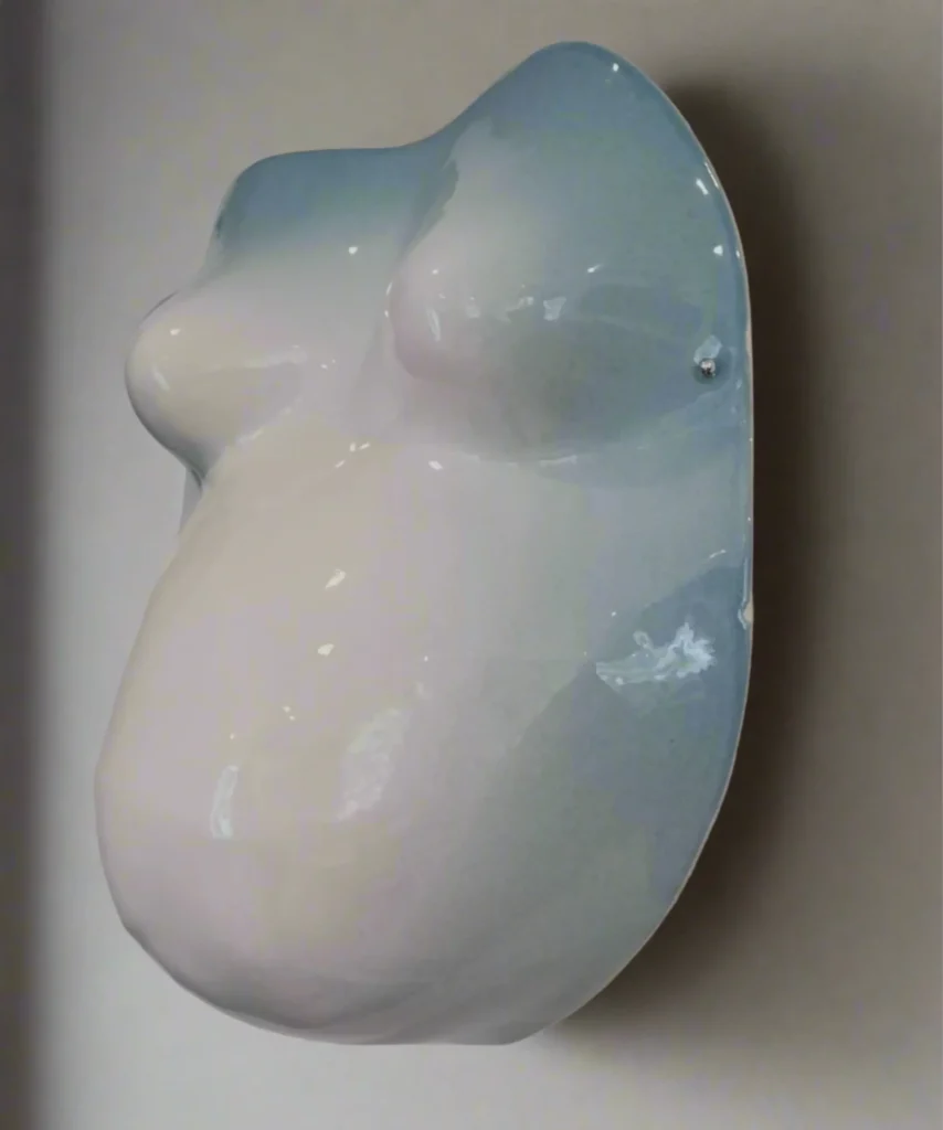 Belly bowl torso blue omber hanging